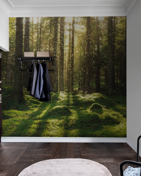 Forest Bath