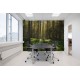 Forest Bath