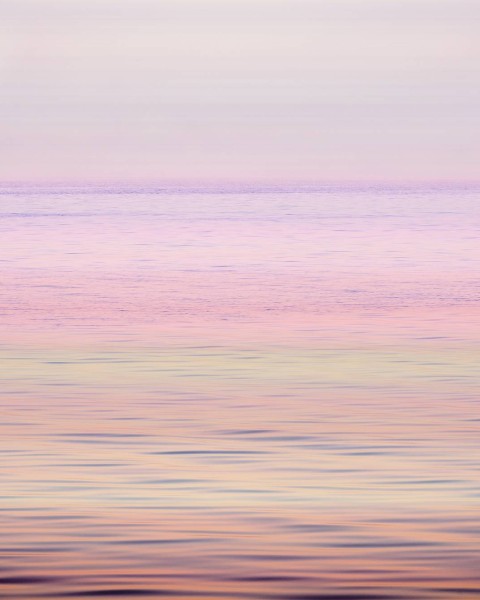 Paradise Breeze