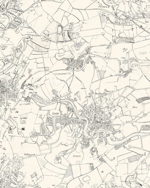 City Field
