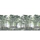 The Enchanted Forest