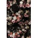 Briar Roses