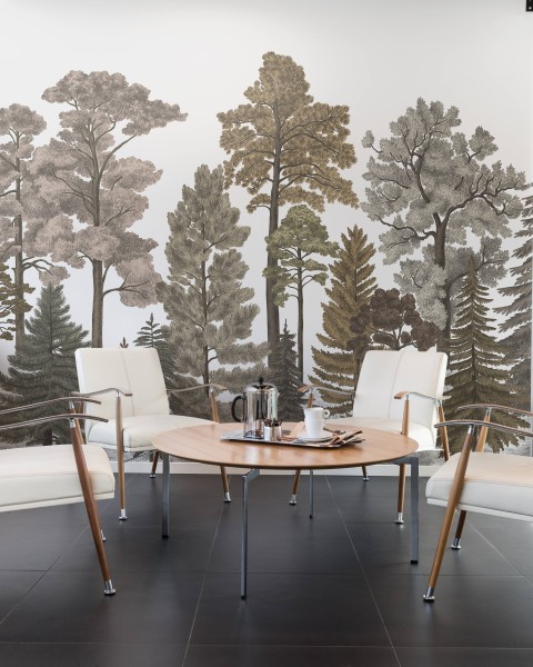 Scandinavian Bellewood, Fall