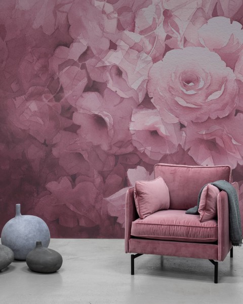 Harmony, Fuchsia