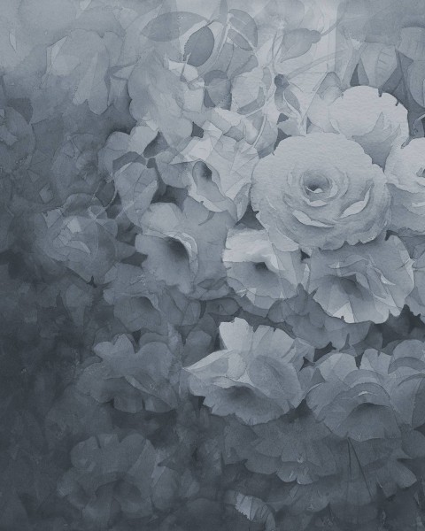 Harmony