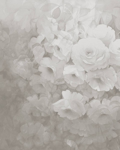 Harmony, Gray
