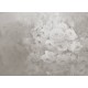 Harmony, Gray