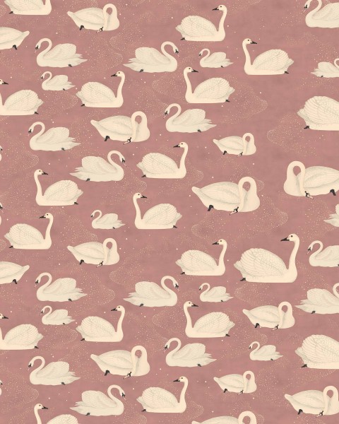 Cygne, Rose