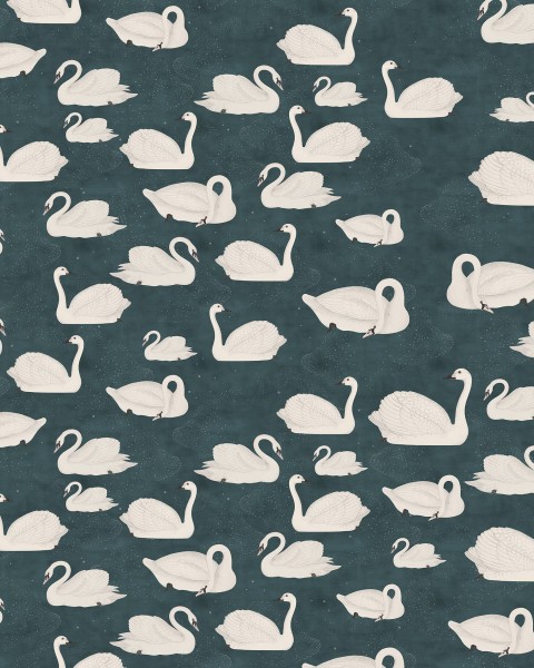 Cygne, Bleu