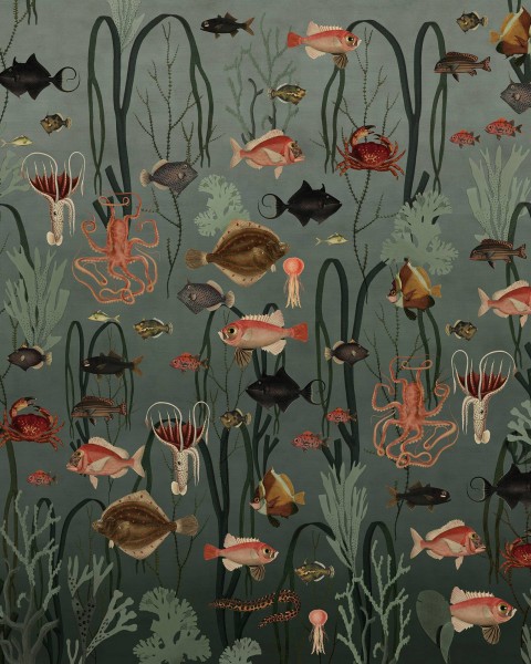 Aquatic Life, Oxygen