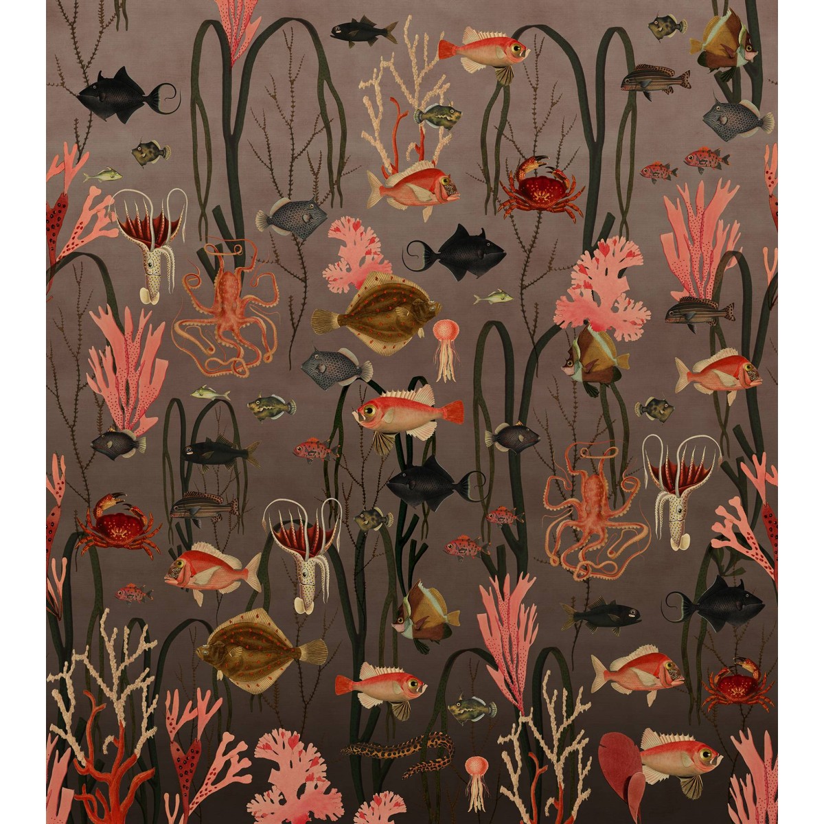 Aquatic Life, Coral