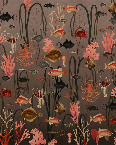 Aquatic Life, Coral