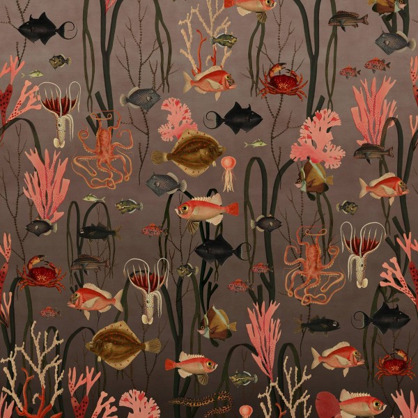 Aquatic Life, Coral