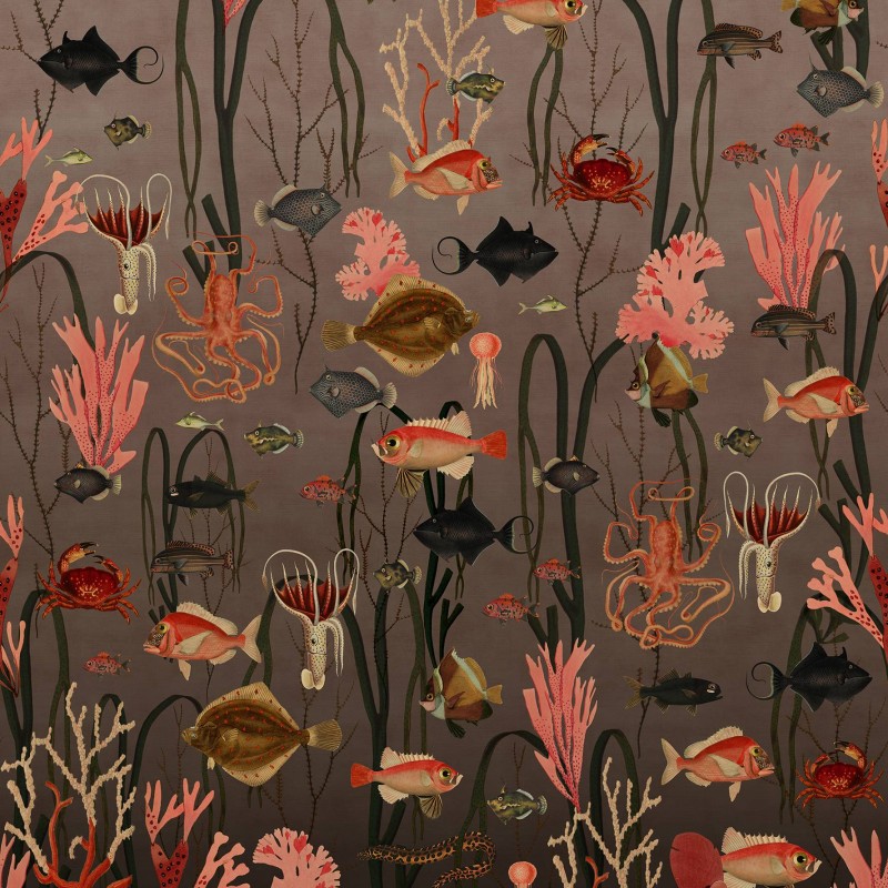 Aquatic Life, Coral