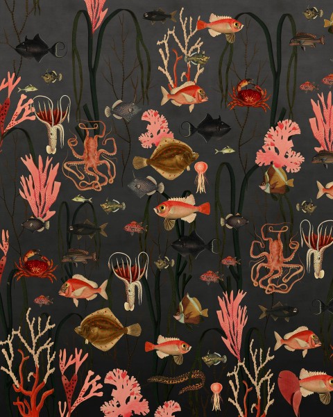 Aquatic Life, Shadows
