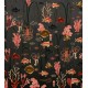 Aquatic Life, Shadows
