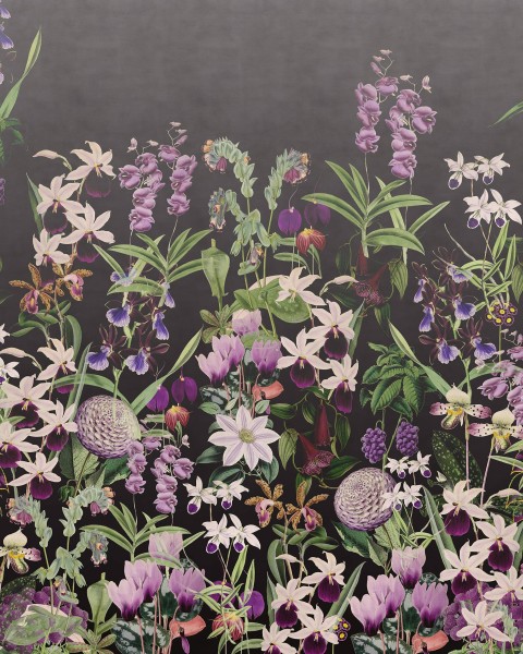 Alice's Garden, Midnight