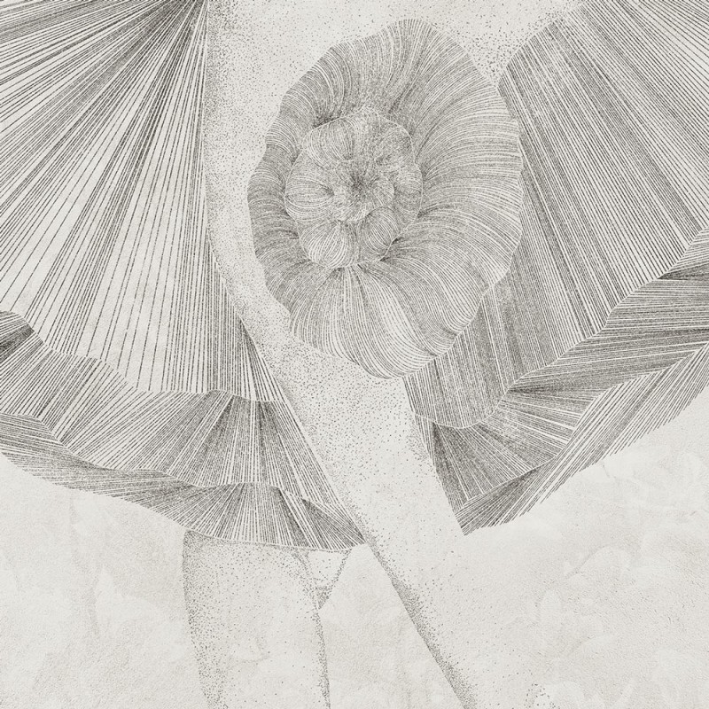 Rimura | 1920
