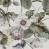 Rimura | Altheda