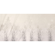 Rimura | Altrove