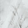 Rimura | Altrove