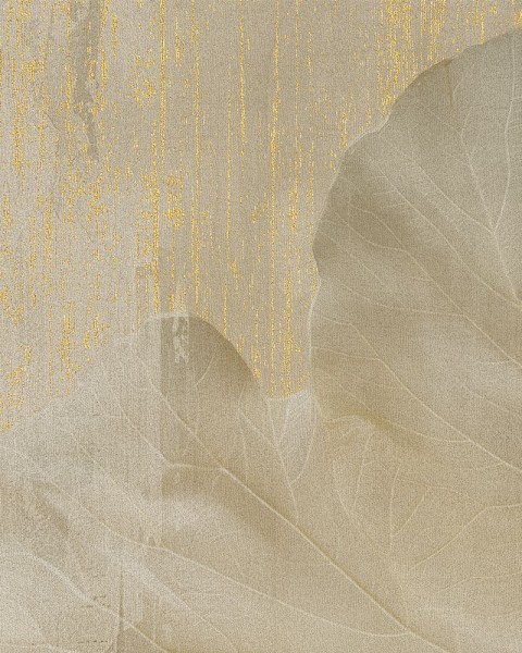 Rimura | Amber