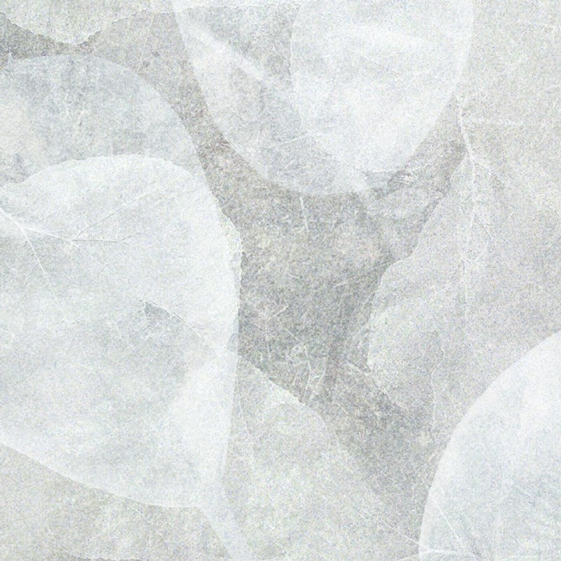 Rimura | Anima