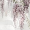 Rimura | April