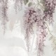Rimura | April