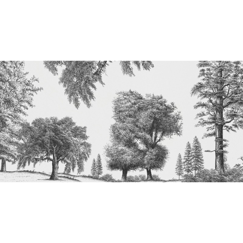 Rimura | Arboribus