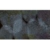 Rimura | Archetipo