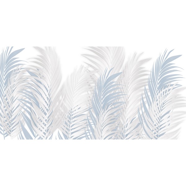 Rimura | Areca