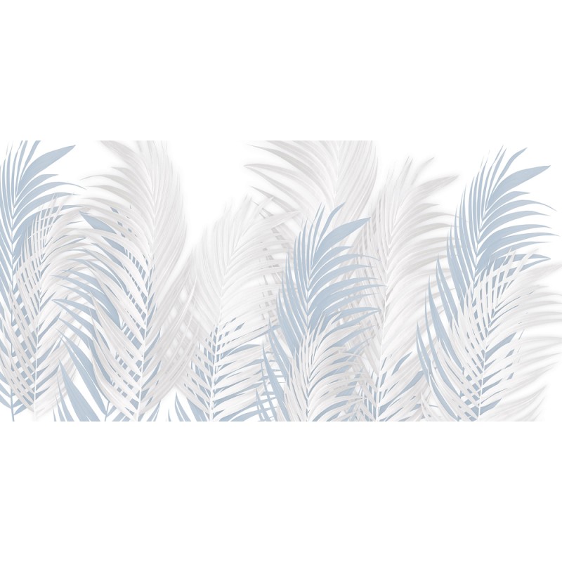 Rimura | Areca