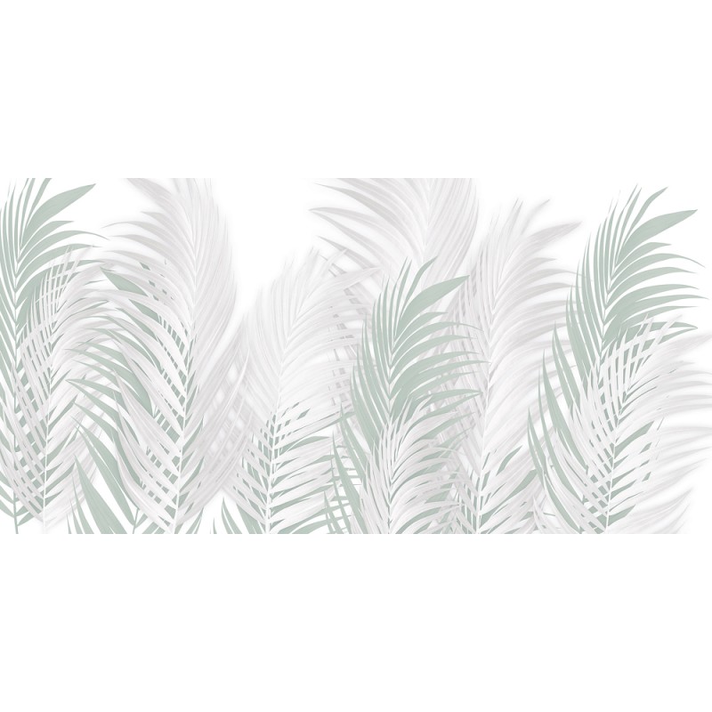 Rimura | Areca
