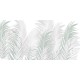 Rimura | Areca