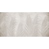 Rimura | Areca