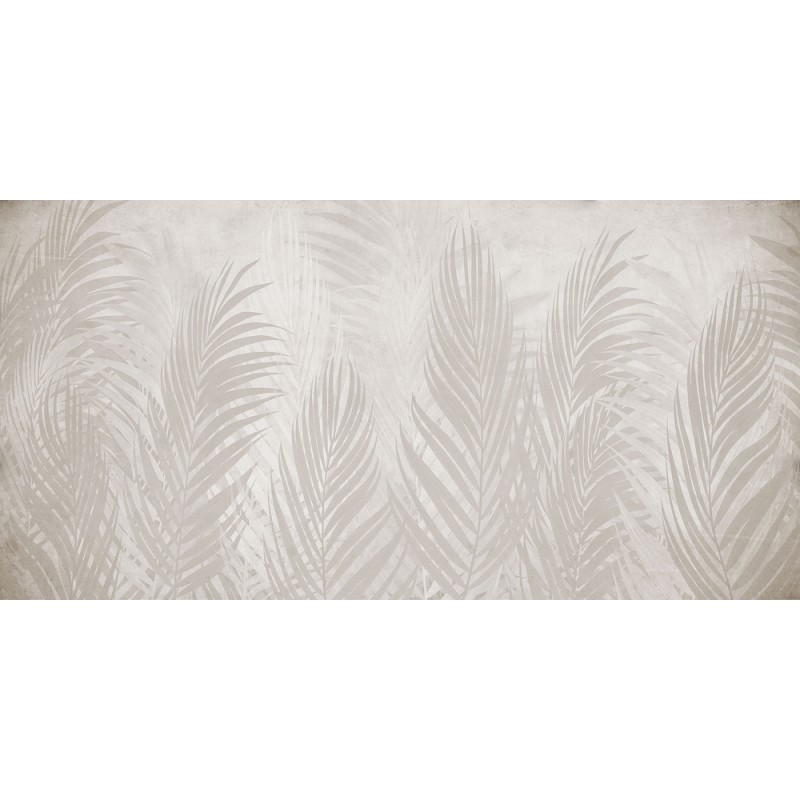 Rimura | Areca