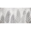 Rimura | Areca