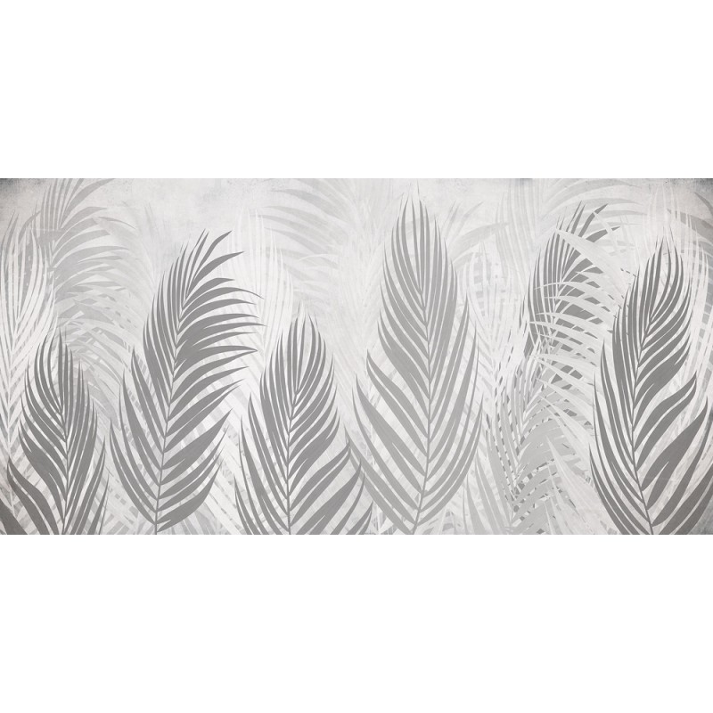 Rimura | Areca