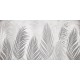 Rimura | Areca