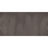 Rimura | Areca