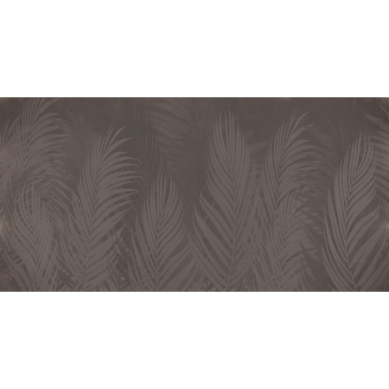 Rimura | Areca