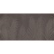 Rimura | Areca