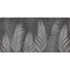 Rimura | Areca