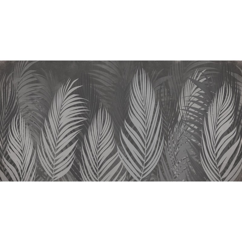 Rimura | Areca