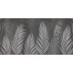 Rimura | Areca