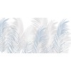 Rimura | Areca