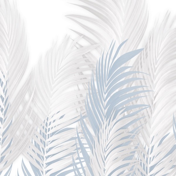 Rimura | Areca