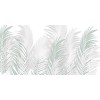 Rimura | Areca