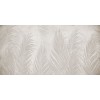 Rimura | Areca